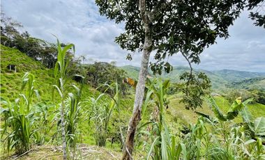 Oportunidad de inversión rural a solo 20 minutos de San Roque.