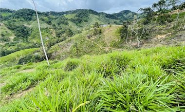Oportunidad de inversión rural a solo 20 minutos de San Roque.