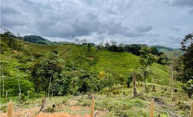 Oportunidad de inversión rural a solo 20 minutos de San Roque.