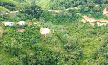 Finca de 3.2 hectáreas con casas y bosque – San Roque, Antioquia
