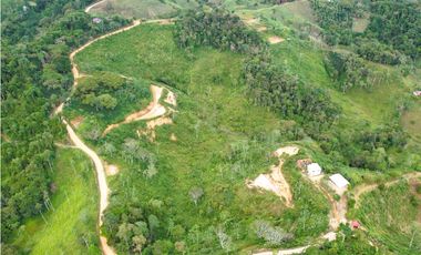 Finca de 3.2 hectáreas con casas y bosque – San Roque, Antioquia