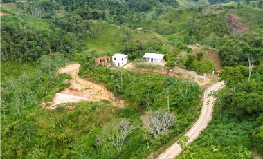 Finca de 3.2 hectáreas con casas y bosque – San Roque, Antioquia