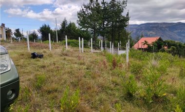SE VENDE 2 TERRENOS EN CHICN, PAUTE, AZUAY