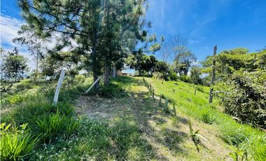 Finca agrícola de 21,5 hectáreas en San Roque, Antioquia