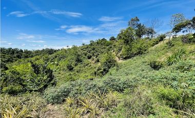 Finca agrícola de 21,5 hectáreas en San Roque, Antioquia