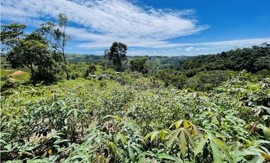 Finca agrícola de 21,5 hectáreas en San Roque, Antioquia