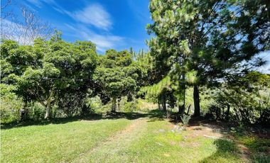Finca agrícola de 21,5 hectáreas en San Roque, Antioquia
