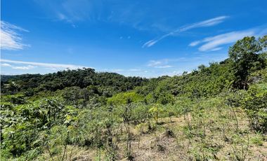 Finca agrícola de 21,5 hectáreas en San Roque, Antioquia