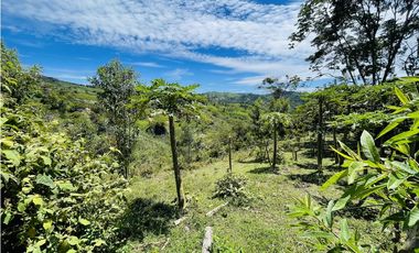 Finca agrícola de 21,5 hectáreas en San Roque, Antioquia