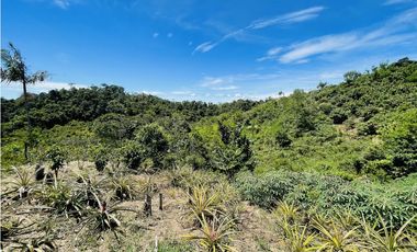 Finca agrícola de 21,5 hectáreas en San Roque, Antioquia
