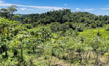 Finca agrícola de 21,5 hectáreas en San Roque, Antioquia