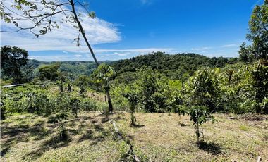 Finca agrícola de 21,5 hectáreas en San Roque, Antioquia