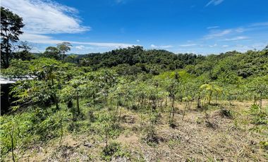 Finca agrícola de 21,5 hectáreas en San Roque, Antioquia