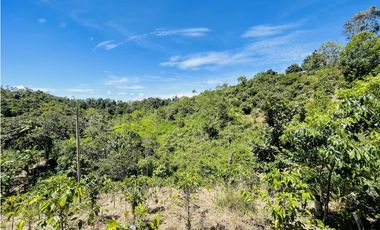 Finca agrícola de 21,5 hectáreas en San Roque, Antioquia