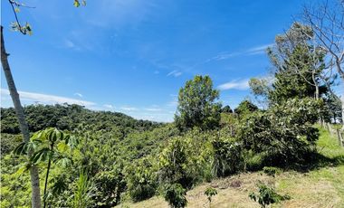 Finca agrícola de 21,5 hectáreas en San Roque, Antioquia