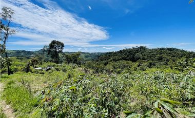 Finca agrícola de 21,5 hectáreas en San Roque, Antioquia