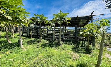 Finca agrícola de 21,5 hectáreas en San Roque, Antioquia