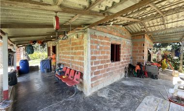 Finca agrícola de 21,5 hectáreas en San Roque, Antioquia