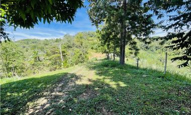 Finca agrícola de 21,5 hectáreas en San Roque, Antioquia