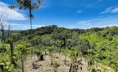 Finca agrícola de 21,5 hectáreas en San Roque, Antioquia
