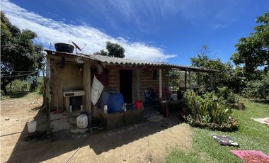 Finca agrícola de 21,5 hectáreas en San Roque, Antioquia