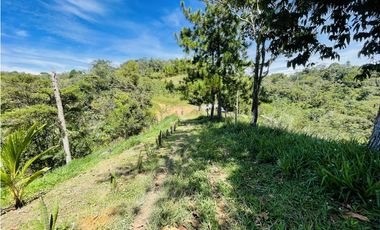 Finca agrícola de 21,5 hectáreas en San Roque, Antioquia