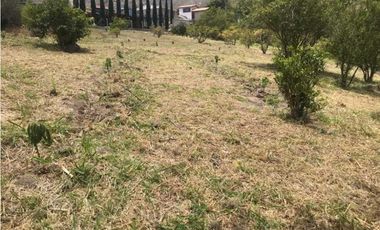 En Mira, se vende un terreno de 10 hectáreas