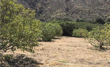 En Mira, se vende un terreno de 10 hectáreas