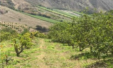 En Mira, se vende un terreno de 10 hectáreas