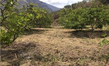 En Mira, se vende un terreno de 10 hectáreas