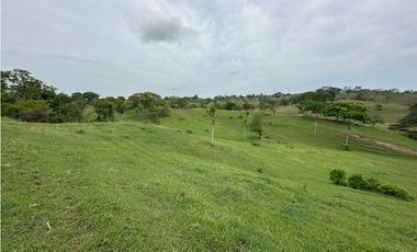 VENTA DE AMPLIOS LOTES EN SAN BERNARDO DEL VIENTO