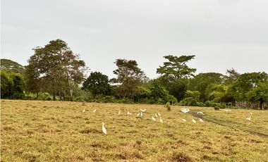 VENTA DE AMPLIOS LOTES EN SAN BERNARDO DEL VIENTO