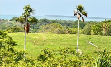 VENTA DE AMPLIOS LOTES EN SAN BERNARDO DEL VIENTO