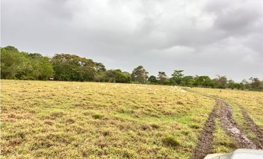 VENTA DE AMPLIOS LOTES EN SAN BERNARDO DEL VIENTO