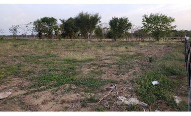 LOTE CAMPESTRE EN VENTA EN AGUAS NEGRAS