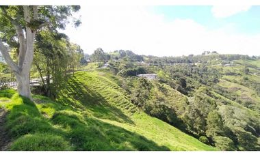 Vendo Finca para inversionista.