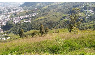 Vendo Finca para inversionista.