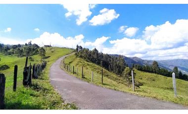 Vendo Finca para inversionista.