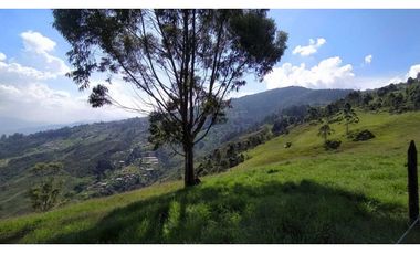 Vendo Finca para inversionista.