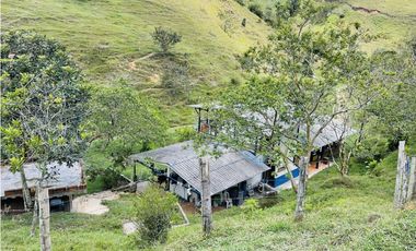Se vende finca con agua en San Roque, Antioquia