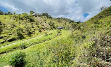 Se vende finca con agua en San Roque, Antioquia