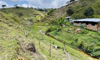 Se vende finca con agua en San Roque, Antioquia