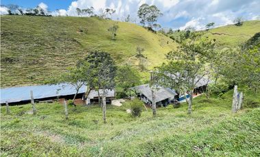 Se vende finca con agua en San Roque, Antioquia