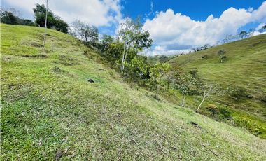 Se vende finca con agua en San Roque, Antioquia