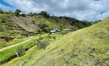 Se vende finca con agua en San Roque, Antioquia