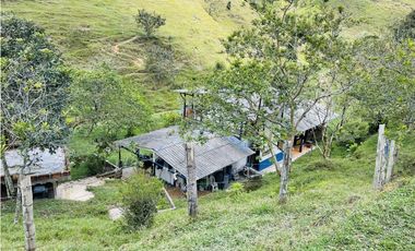 Se vende finca con agua en San Roque, Antioquia