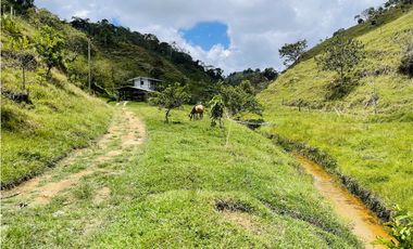 Se vende finca con agua en San Roque, Antioquia