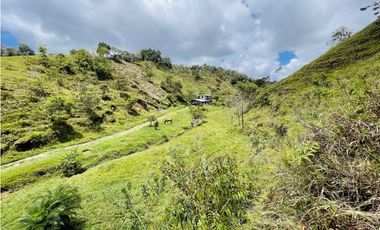 Se vende finca con agua en San Roque, Antioquia