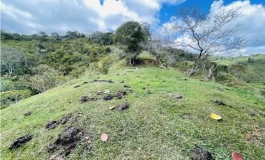 Se vende finca con agua en San Roque, Antioquia