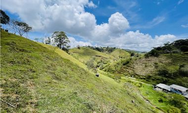Se vende finca con agua en San Roque, Antioquia